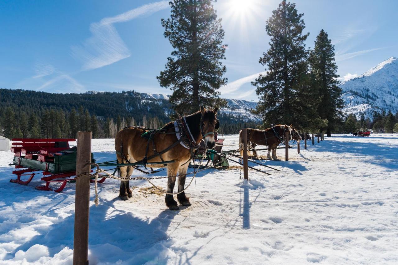 Aspen Suites 506: The Nest Leavenworth Luaran gambar
